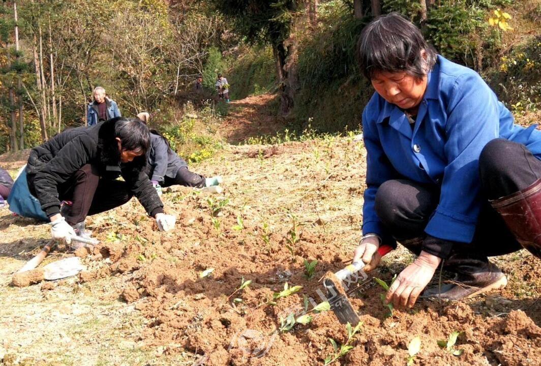 台州市扶贫开发领导小组办公室最新动态报道